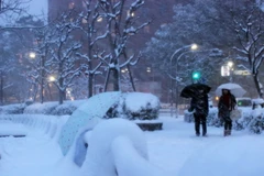 Mưa tuyết kỷ lục quét qua Nhật Bản gây thương vong lớn