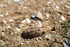 Ném quả lựu đạn cho chó trên bãi biển vì tưởng nhầm là đá 