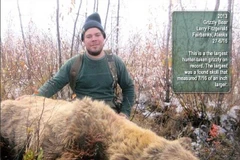 Con gấu xám khổng lồ cao tới gần 3m bị bắn hạ ở Alaska