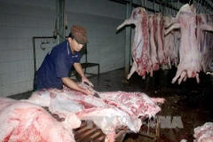 Ảnh minh họa. (Nguồn: TTXVN/Vietnam+)