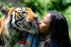Nụ hôn giữa người và hổ gây xúc động mạnh