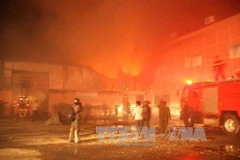 Ảnh minh họa. (Nguồn: TTXVN)