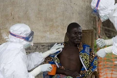 WHO họp khẩn để ngăn chặn sự lây lan của dịch bệnh Ebola