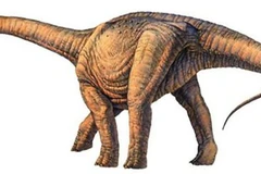 Phát hiện hóa thạch loài khủng long lớn nhất từ trước tới nay