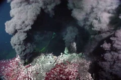 Sự dịch chuyển địa tầng Trái đất gắn với các lớp trầm tích