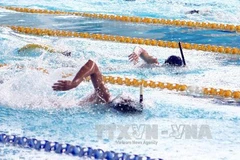 Ảnh minh họa. (Nguồn: TTXVN)