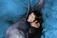 Tiết lộ gây sốc về mối quan hệ kỳ lạ giữa cá heo và con người