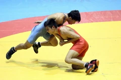 Đoàn Hà Nội chiếm ưu thế lớn ở giải vật trẻ toàn quốc 2014