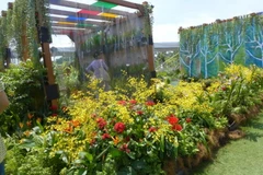 Lễ hội vườn và hoa tại Singapore trưng bày nhiều loại hoa độc đáo