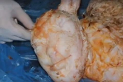 Chú cừu mới sinh có khuôn mặt kỳ lạ giống y hệt con người