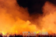 Nhiệt độ trung bình toàn cầu cao kỷ lục và cảnh báo El Nino