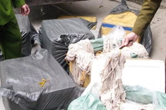 Phát hiện hai xe chở nội tạng động vật không rõ nguồn gốc