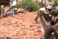 Hãi hùng với cảnh báo đốm sổng chuồng tấn công người