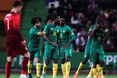 Các cầu thủ Cameroon từ chối tới Brazil vì tiền thưởng quá ít