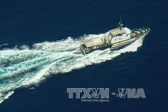 Ảnh minh họa. (Nguồn: TTXVN)