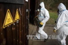 "Đức đang bị đe doạ nghiêm trọng về vấn đề an ninh"