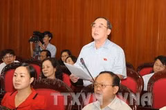 Đại biểu Quốc hội thành phố Hải Phòng Trần Ngọc Vinh phát biểu ý kiến. (Ảnh: Nguyễn Dân/TTXVN).