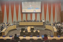 Đại sứ, Trưởng phái đoàn đại diện thường trực Việt Nam tại Liên hợp quốc Đặng Hoàng Giang phát biểu tại cuộc họp. (Ảnh: Hoài Thanh/TTXVN)