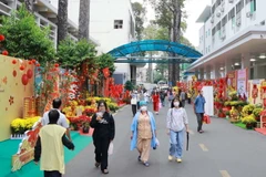 TP Hồ Chí Minh: Mang Xuân đến với bệnh nhân không được về quê đón Tết