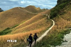 Những con đường mòn trên đồi cỏ gợi nhớ những ký ức xưa yên bình. (Ảnh: Quốc Đạt/TTXVN)