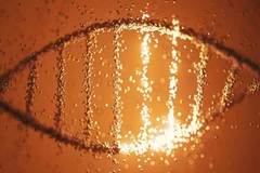 (Ảnh minh họa. Nguồn: sciencealert)