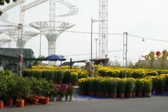 Nhiều tiểu thương cho biết, sức mua hoa Tết năm nay giảm nhiều so với các dịp Tết trước đây. (Ảnh: Văn Sĩ/TTXVN)