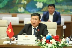 Chủ nhiệm Ủy ban Đối ngoại Quốc hội Vũ Hải Hà. (Ảnh: Minh Đức/TTXVN)