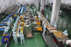 Công nhân một nhà máy có vốn FDI tại Tiền Giang. (Ảnh: Lâm Nguyên/TTXVN)