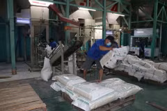 Công nhân Công ty TNHH Phước Thành II đang vận chuyển gạo xuất khẩu sau khi được đóng bao. (Ảnh: Minh Hưn/TTXVN)