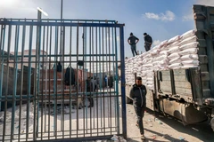 Bốc dỡ hàng viện trợ từ xe tải của UNRWA tại thành phố Rafah, Dải Gaza. (Ảnh: AFP/TTXVN)