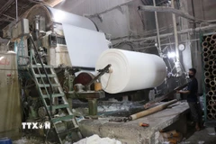 Hoạt động xản xuất giấy ở Phong Khê là nguyên nhân gây ô nhiễm môi trường nhiều năm tại đây. (Ảnh: Thanh Thương/TTXVN) 