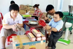 Hoạt động ý nghĩa vì nạn nhân chất độc da cam dioxin Việt Nam tại Pháp
