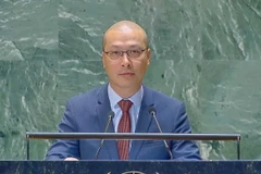 Công sứ Nguyễn Hoàng Nguyên, Phó Trưởng Phái đoàn thường trực Việt Nam tại LHQ, phát biểu tại cuộc họp. (Ảnh: Quang Huy/TTXVN)