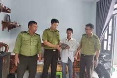 Anh Lê Nhật Hoàng bàn giao cá thể tê tê cho Hạt kiểm lâm Châu Đức-Bà Rịa. (Ảnh: Hoàng Nhị/TTXVN)