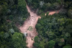 Khoảng rừng Amazon bị chặt phá tại bang Para, Brazil. (Ảnh: AFP/ TTXVN)