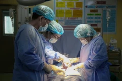 (Ảnh minh họa. TTXVN phát)