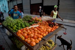 Người dân bán rau quả trên đường phố tại La Habana, Cuba, ngày 11/6/2019. (Ảnh: AFP/ TTXVN)