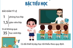 Những yêu cầu và nhiệm vụ của các cấp học năm 2024-2025 