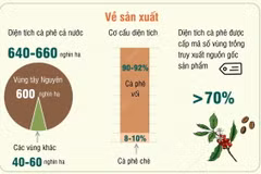 Phấn đấu càphê xuất khẩu chiếm 80-85% tổng sản lượng càphê cả nước