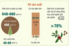 Phấn đấu càphê xuất khẩu chiếm 80-85% tổng sản lượng càphê cả nước