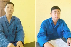 Đối tượng Nguyễn Mậu Văn (trái) và Huỳnh Chí Linh bị bắt tạm giam. (Ảnh: TTXVN phát)