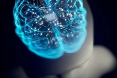 (Ảnh minh họa. Nguồn: Getty Images)