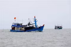 (Ảnh minh họa. Hồng Đạt/TTXVN)