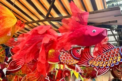 (Ảnh: Vietnam+)