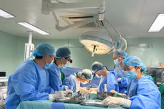 Các bác sỹ tiến hành ghép thận. (Ảnh: TTXVN phát)