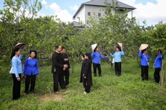 Nghệ nhân Ưu tú Lâm Minh Sập cùng các thành viên câu lạc bộ dân ca Sán Chí luyện tập. (Ảnh: Danh Lam/TTXVN)