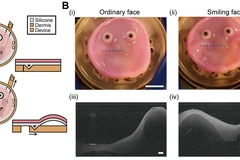 Một loại vật liệu tương tự như da sống có thể ghép vào bề mặt của robot và khiến nó có thể nở nụ cười như con người. (Ảnh: u-tokyo)