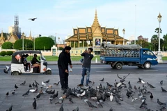 Khách du lịch cho bồ câu ăn tại Phnom Penh, Campuchia. (Ảnh: AFP/TTXVN)
