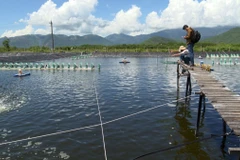 (Ảnh minh họa. TTXVN phát)