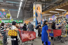 (Ảnh minh họa: TTXVN phát)